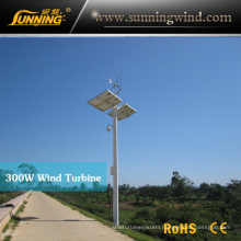 2015 New 300W Wind Turbine Hot Sale Products Low Price